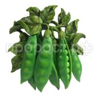 горох горох