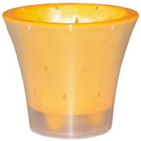 Кашпо для орхидей Ванда 2л прозрачный с желтой вставкой ВД17-04