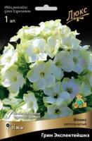 Флокс метельчатый Грин Экспектейшнз (I) 1 шт