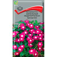 Поиск Катарантус ампельный Медитерранеан Бургунди 10шт 