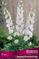 Дельфиниум тихоокеанский Мэджик Фаунтейн вайт (I) 1 шт