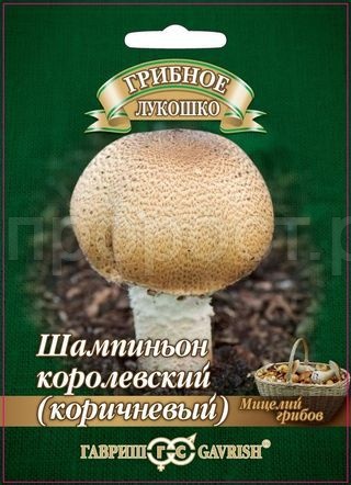 Мицелий гриба Шампиньон Коричневый на зерновом субстрате 15мл