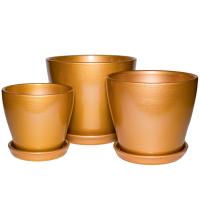 АРКТИКА бронза из 3-х  322-JJ7001G