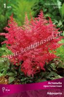 Астильба простолистная Афродита