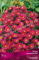 Астра кустарниковая Старлайт (I) 1 шт 743130