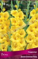 Гладиолус Крупноцветковый Джэксонвилл Голд (10/12) 10 шт 777493