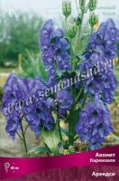 Аконит Кармихеля Арендси (I) 1 шт