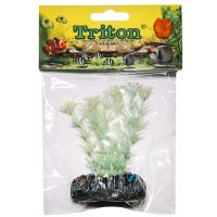 Растение светящееся Тритон 10см/QQY1001/Вестерн