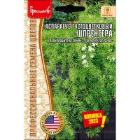 Редкие растения Аспарагус густоцветковый Шпренгера 3шт  Редкие растения Аспарагус густоцветковый Шпренгера 3шт