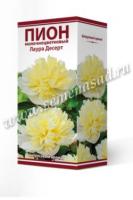 Пион молочноцветковый Лаура Десерт 