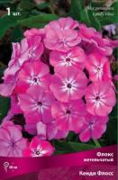 Флокс метельчатый Кэнди Флосс (I) 1 шт 