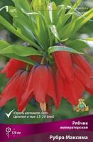 Рябчик Императорский Рубра максима ( 20/24) 839653