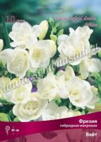 Фрезия гибридная махровая Вайт