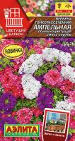 Вербена Ампельная обильноцветущая, смесь сортов 30шт