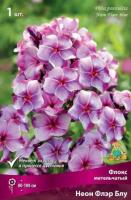 Флокс метельчатый Неон Флэр Блу (I) 1 шт 