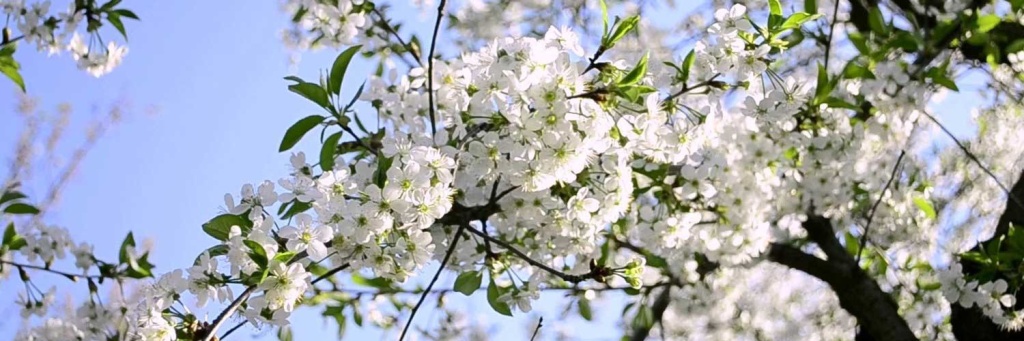 1500x500ю1.jpg 1500x500ю1.jpg