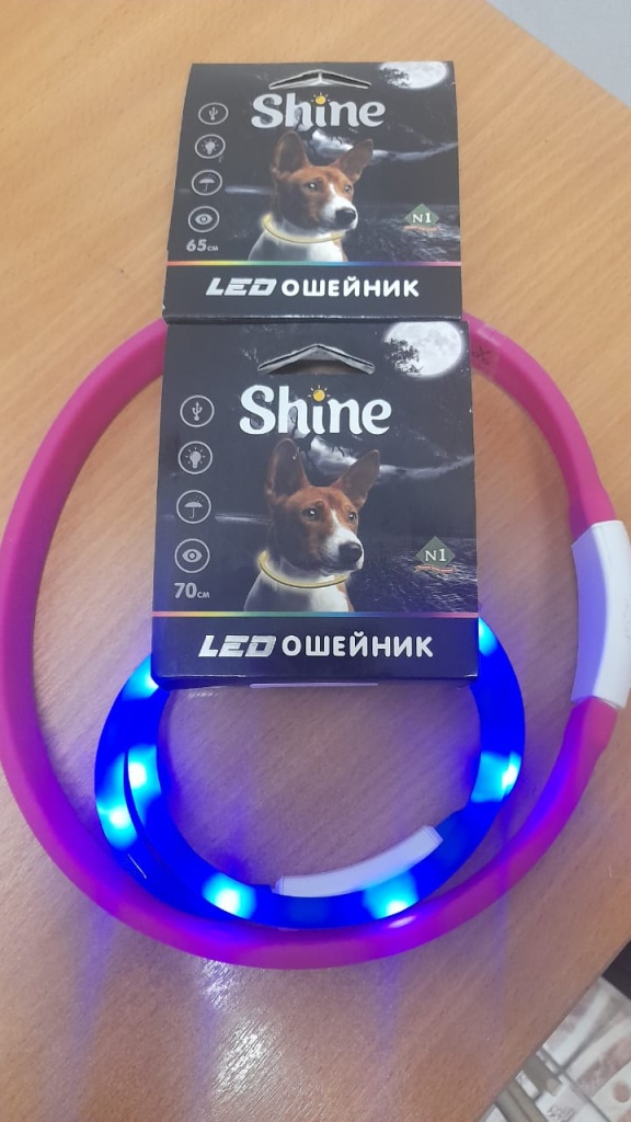 Умные устройства для домашних питомцев Умные устройства для домашних питомцев