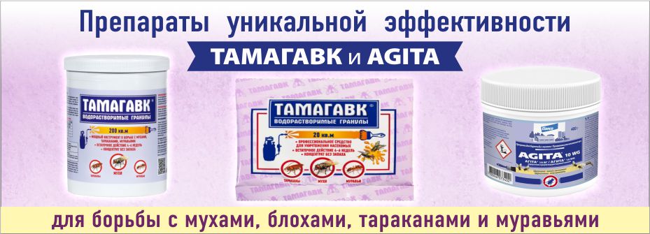 от бытовых насекомых от бытовых насекомых