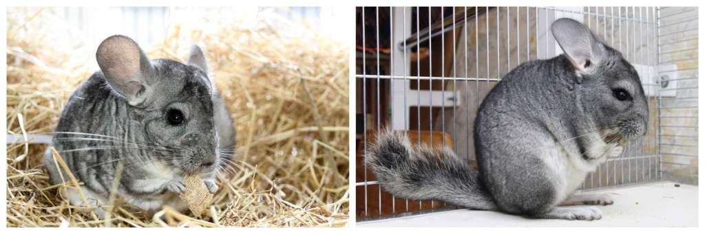 уход.jpg уход.jpg