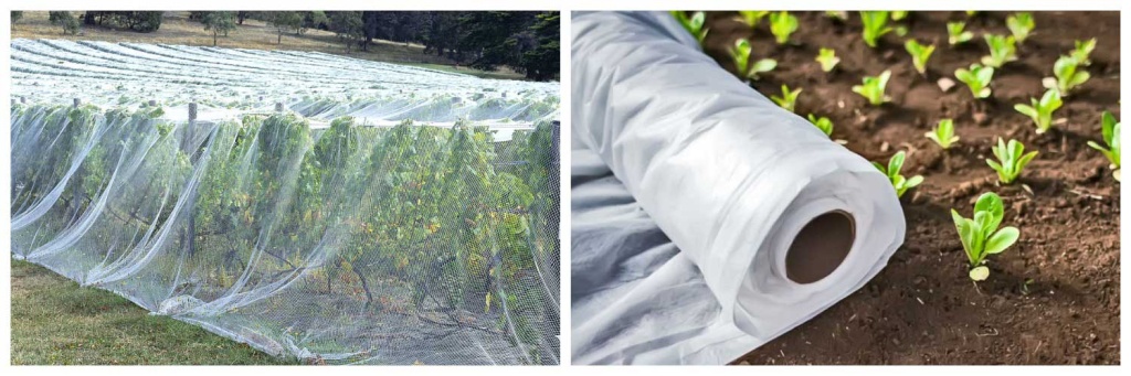 огород.jpg огород.jpg