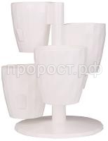 Кватро белый 1 Кватро белый 1