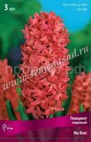 Гиацинт Ян Бос Гиацинт Ян Бос