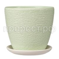 Гнездо зеленый крокус Гнездо зеленый крокус