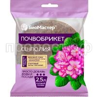 _сенполия 2_,5 _сенполия 2_,5