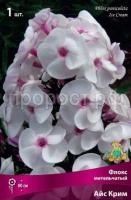 Флокс метельчатый Айс Крим