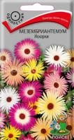 Мезембриантемум Искорки Мезембриантемум Искорки