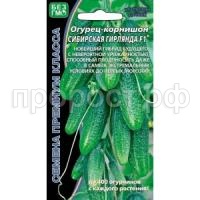 ogurec-kornishon-buketnogo-tipa-zavyazey-sibirskaya-girlyanda-f1_18911405171-min-300x300 ogurec-kornishon-buketnogo-tipa-zavyazey-sibirskaya-girlyanda-f1_18911405171-min-300x300