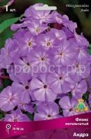 Флокс метельчатый Андрэ