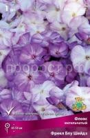 Флокс метельчатый Фрекл Блу Шейдз