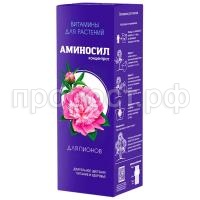 пион пион