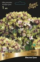 Флокс метельчатый Мистик Грин