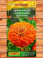 cinniya-sensaciya-bronzovaya-foto-semena-top cinniya-sensaciya-bronzovaya-foto-semena-top