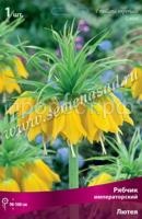 лютея лютея