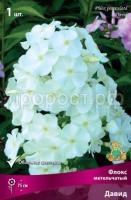 Флокс метельчатый Давид