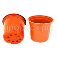 de1b868f-9b52-11eb-8103-00155d386501_1f834278-9bb4-11eb-8103-00155d386501-800x800 de1b868f-9b52-11eb-8103-00155d386501_1f834278-9bb4-11eb-8103-00155d386501-800x800