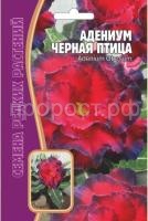 Адениум Черная Птица 3 шт Редкие растения Адениум Черная Птица 3 шт Редкие растения