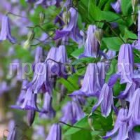 Без названия (1) Без названия (1)