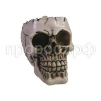 череп череп