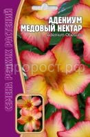 адениум медовый нектар адениум медовый нектар