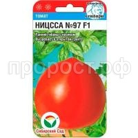 С168093 С168093