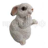 зайка задумч