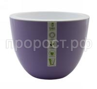 орион (8) орион (8)