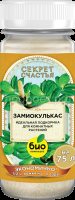 Замиокулькас_02-01 Замиокулькас_02-01