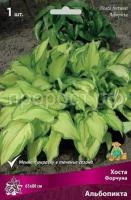 Хоста Форчуна Альбопикта Хоста Форчуна Альбопикта