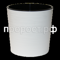 белый-min белый-min