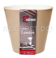 лондон мол шок лондон мол шок